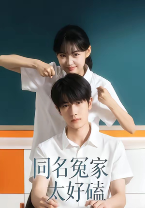 同名冤家太好磕封面