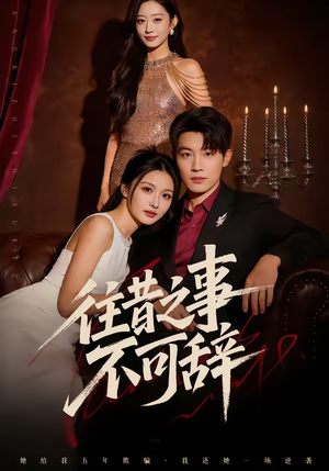 往昔之事不可辞封面