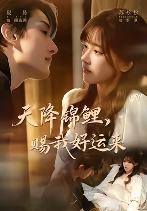 天降锦鲤，赐我好运来封面