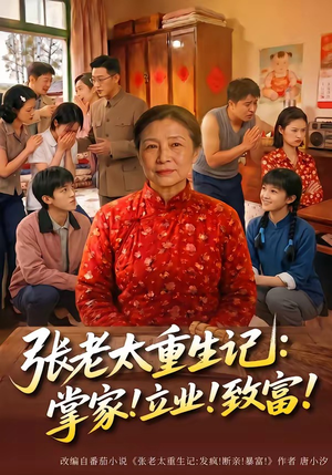 张老太重生记：掌家！立业！致富！封面
