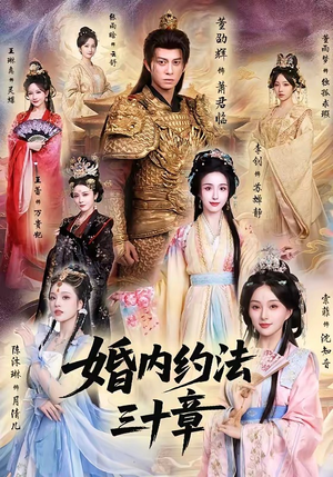 婚内约法三十章封面