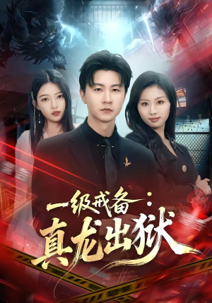 一级戒备：真龙出狱封面