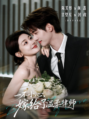 一不小心，嫁给了温柔律师封面