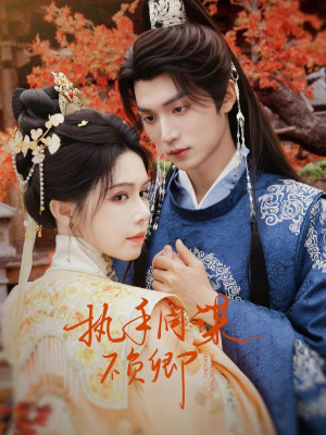 执手同谋不负卿封面