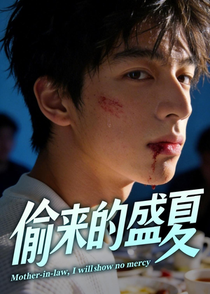 偷来的盛夏（40集）红果短剧免费看