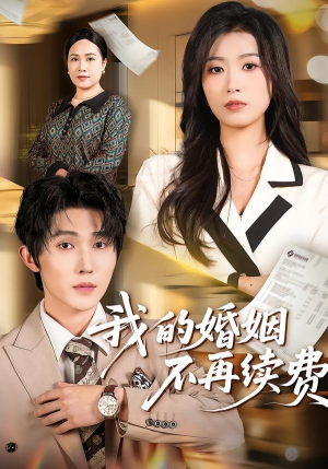 我的婚姻不再续费封面