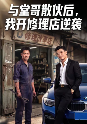 与堂哥散伙后，我开修理店逆袭封面