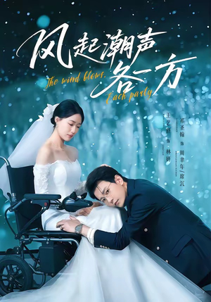 风起潮声各一方封面