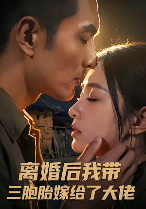 离婚后我带三胞胎嫁给了大佬封面