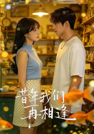 昔年我们再相逢封面