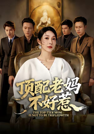 顶配老妈不好惹封面