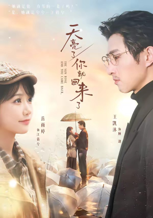 天亮了，你就回来了封面