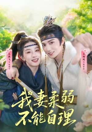 我妻柔弱不能自理封面