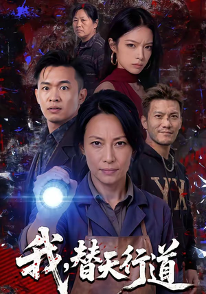 我，替天行道封面