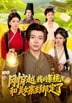 刚穿越，我的系统和美女寨主绑定了（98集）在线免费观看