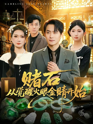 赌石从觉醒火眼金睛开始封面