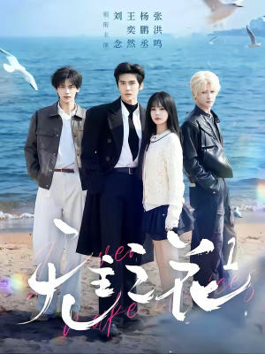 无主之花1（72集）免费热门短剧