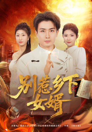 别惹乡下女婿封面
