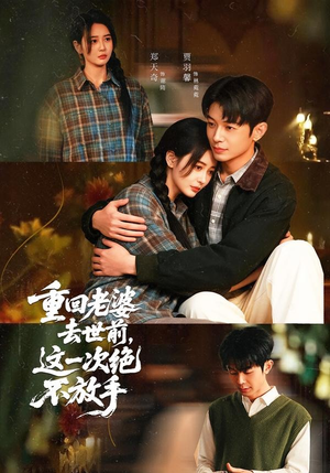 重回老婆去世前，这一次绝不放手封面