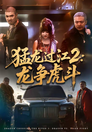 猛龙过江2：龙争虎斗封面