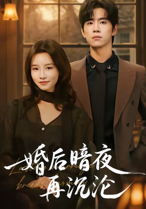 婚后暗夜再沉沦封面