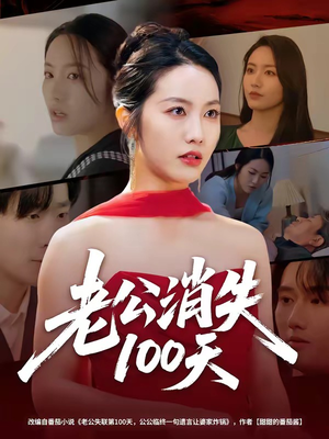 老公消失100天封面