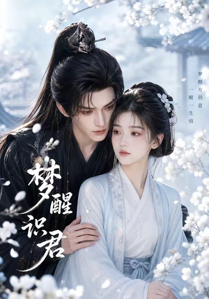梦醒识君封面