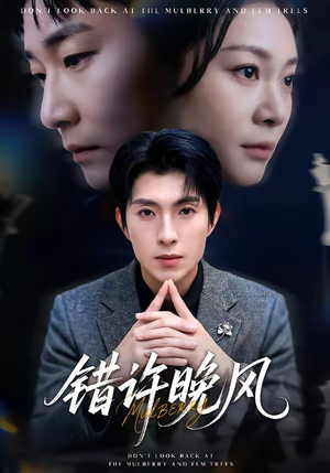 错许晚风封面