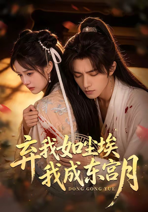 X弃我如尘埃，我成东宫月（20集）追风的女孩短剧