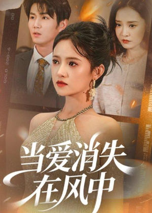 当爱消失在风中（73集）免费看全集