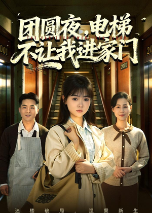 团圆夜，电梯不让我进家门（52集）短剧太好看
