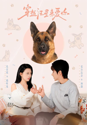 穿越汪星来爱你（62集）追短剧太上头了