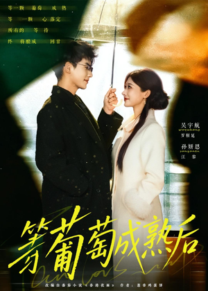 等葡萄成熟后（82集）爆款短剧抢先看