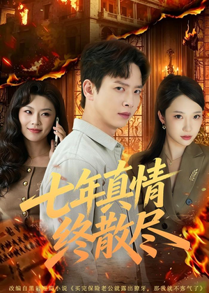 七年真情终散尽（60集）在哪看免费
