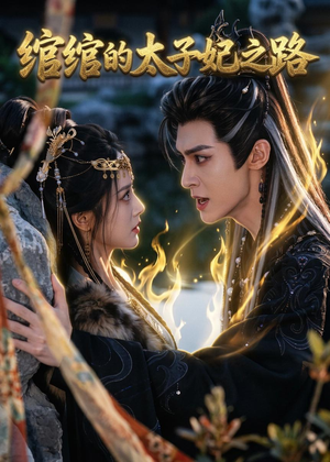 绾绾的太子妃之路（37集）免费观看完整版