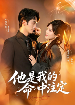 他是我的命中注定(80集) 他是我的命中注定(80集)免费看全集