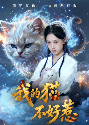 我的猫不好惹（42集）全集都在这里了