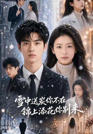 雪中送炭你不在，锦上添花你别来（60集）夸克网盘在线看