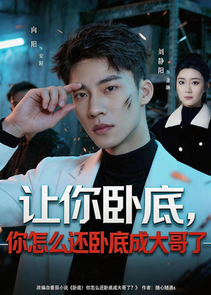 让你卧底,你怎么还卧成大哥了(80集) 让你卧底,你怎么还卧成大哥了(80集)好看的短剧电影