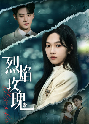 烈焰玫瑰（37集）一口气看完