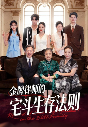 金牌律师的宅斗生存法则（43集）演员表