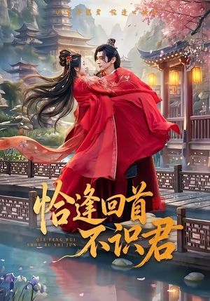 恰逢回首不识君(72集) 恰逢回首不识君(72集)最火短剧热播