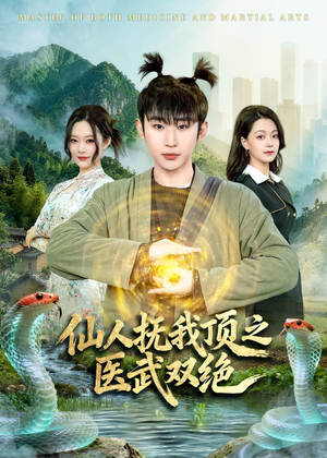 仙人抚我顶之医武双绝（66集）全集