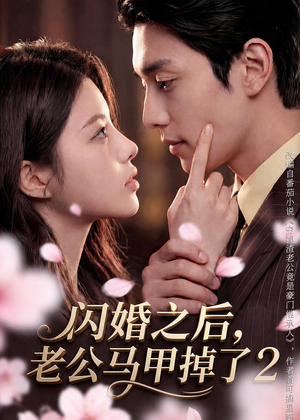闪婚之后，老公马甲掉了2（82集）热播短剧全集看