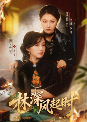 林深风起时（63集）热播短剧全集看