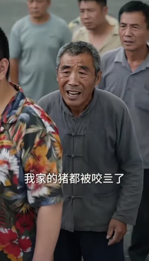 风起山林之退蛇守村（61集）每日分享短剧