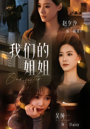 我们的姐姐（65集）在线观看