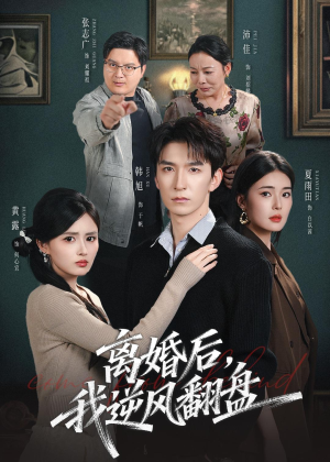 离婚后，我逆风翻盘（83集）精彩短剧天天看