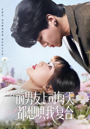 前男友上司每天都想哄我复合（77集）短剧更新抢先看