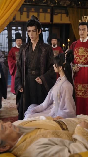 穿越医妃,王爷也是现代人(41集) 穿越医妃,王爷也是现代人(41集)哪个短剧网能看